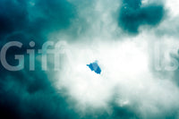 A high-quality custom graphic wall mural for walls.

