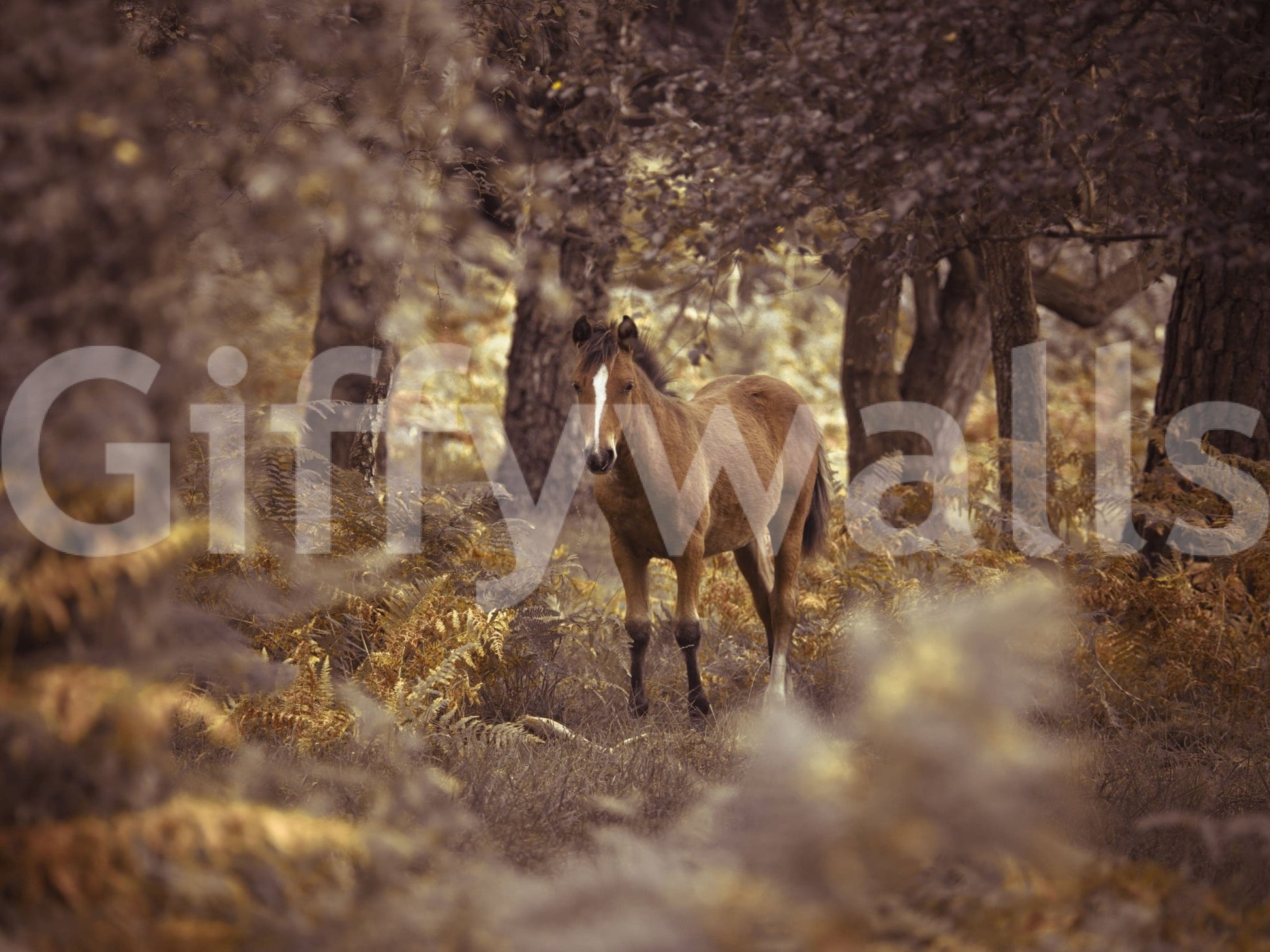 Dreamy Wild Horse scene, nature-themed wall mural, subtle colors.