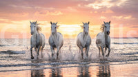 Beach landscape with sunset tones in Wild Horses Golden Shore mural, GD9222