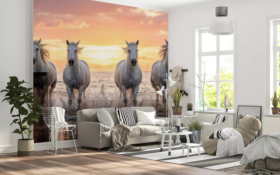 Hallway styled using Wild Horses Golden Shore wall mural beach, GD9222