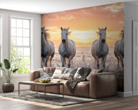 Living room styled with Wild Horses Golden Shore wall mural sunset, GD9222