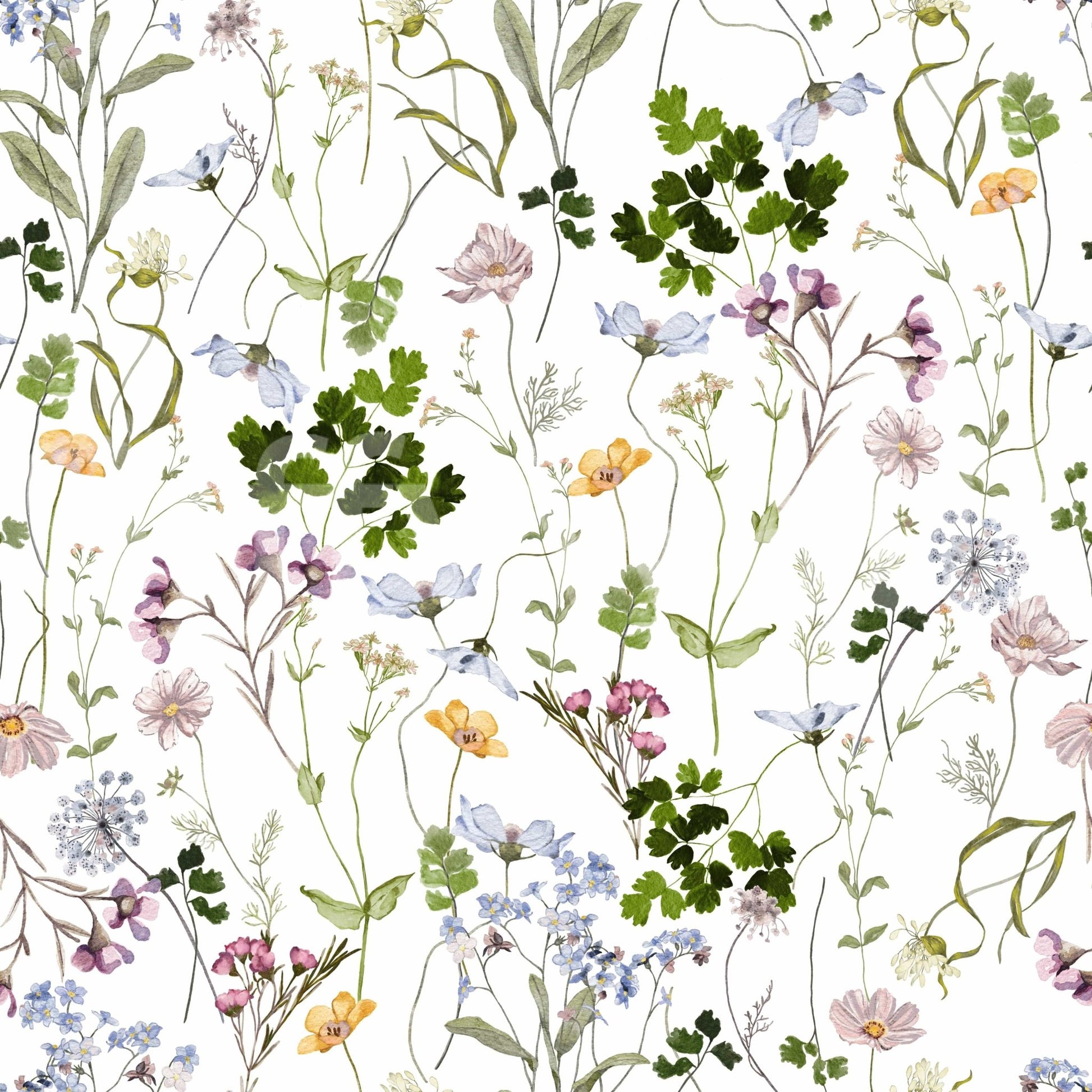 Watercolour floral wall mural with daisies and herbs for full wall, GD7683