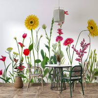 Focus on natural light and vibrant colors.

