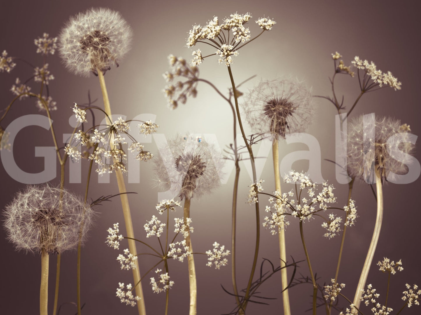 Neutral toned wildflower wallpaper for a sophisticated lounge area wall mural.