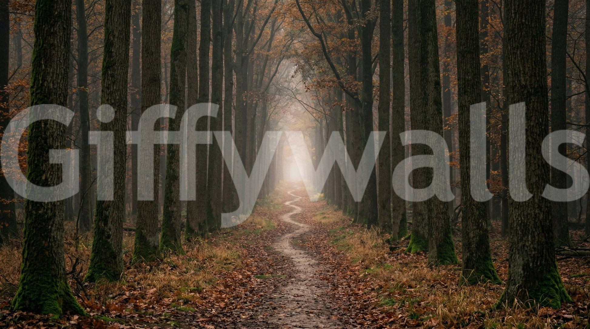 Winding Woodland Way Wall Mural