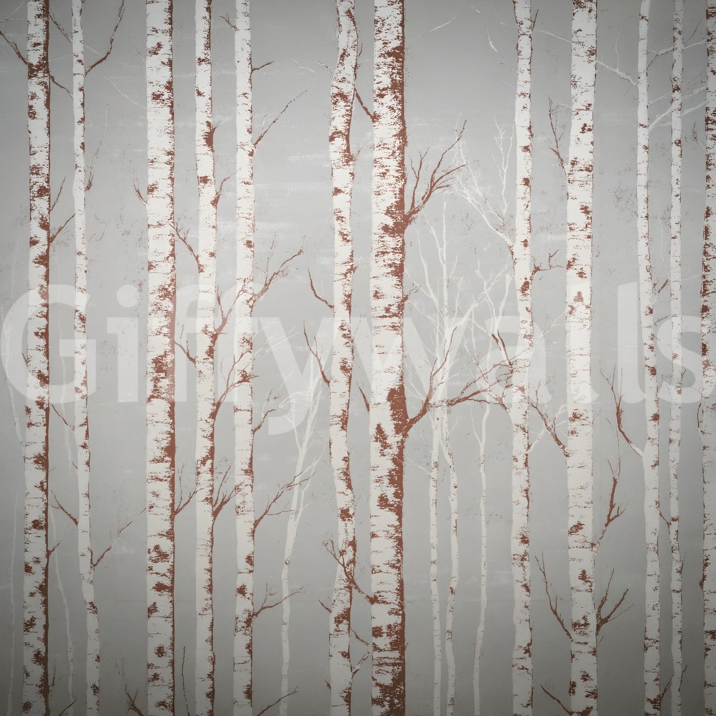 Winter Birch Beauty Wall Mural