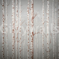 Winter Birch Beauty Wall Mural