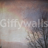 Distressed plaster style, Winter Day wallpaper mural, subtle pink hues, nature photo.
