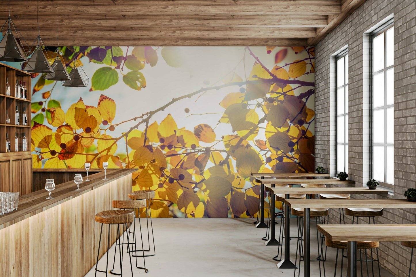 A canopy of yellow foliage opens to blue sky in this wall mural GD4949
