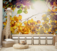 Winter Is Finally Here wall mural showing golden leaves against a bright sky GD4949
