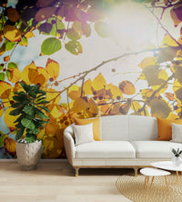 Golden light filters through a leafy canopy in this Winter Is Finally Here wall mural GD4949
