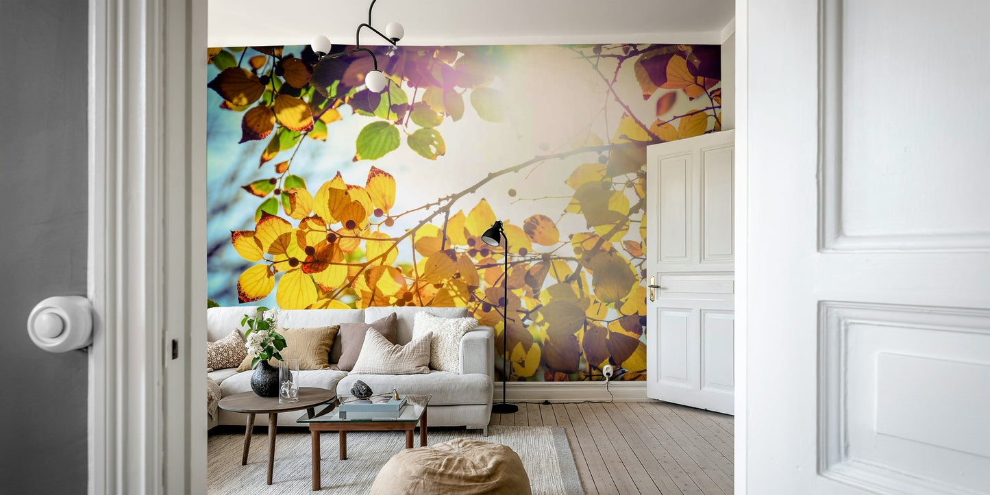 Branches heavy with berries frame a sunlit sky on this wall mural GD4949
