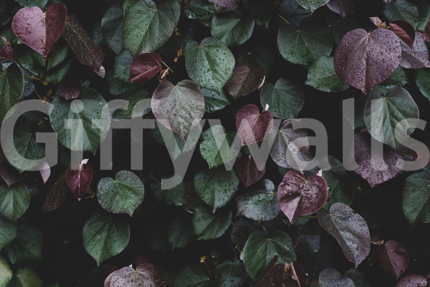 A high-quality minimalist wall mural for walls.

