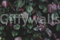 A high-quality minimalist wall mural for walls.

