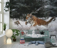 A contemplative gentle design wallpaper mural for a feature wall., GD5918