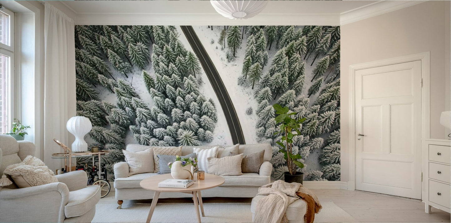 Winter Road Canopy Wall Mural