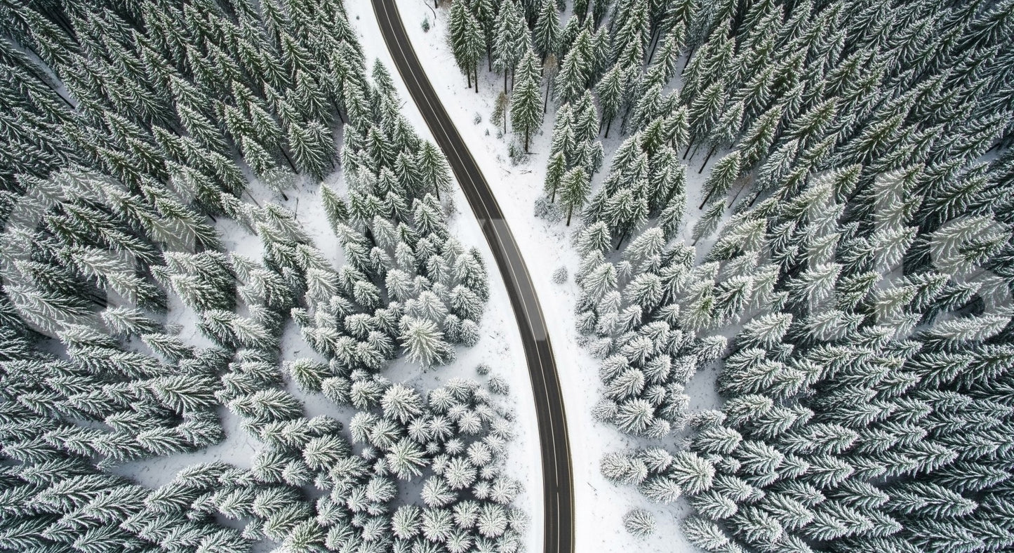 Winter Road Canopy Wall Mural