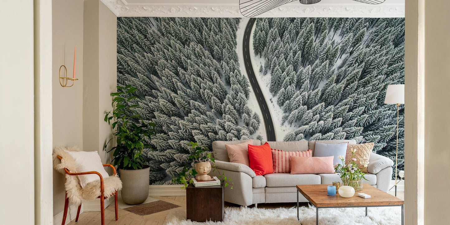 Winter Road Wall Mural