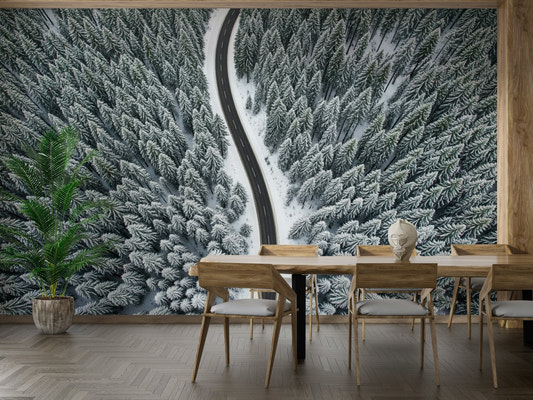 Winter Road Wall Mural