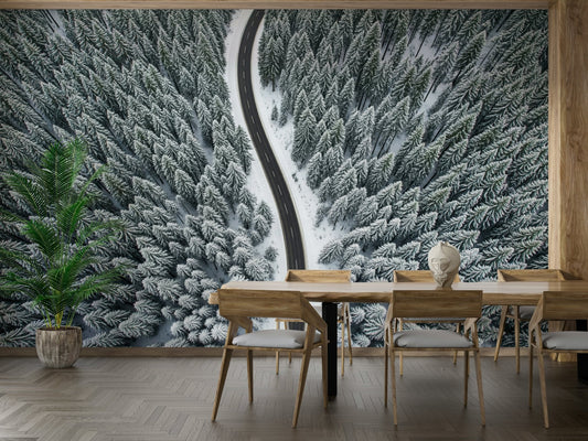 Winter Road Wall Mural