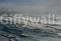 A high-quality serene ocean wall mural for walls.

