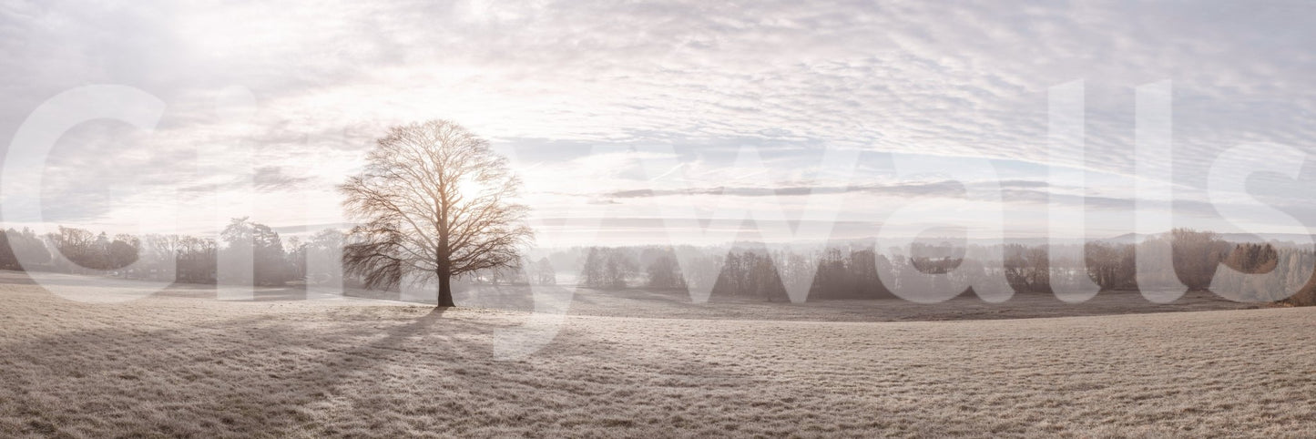 Winter's Soft Light Wall Mural in a contemporary apartment with clean lines wallpaper.