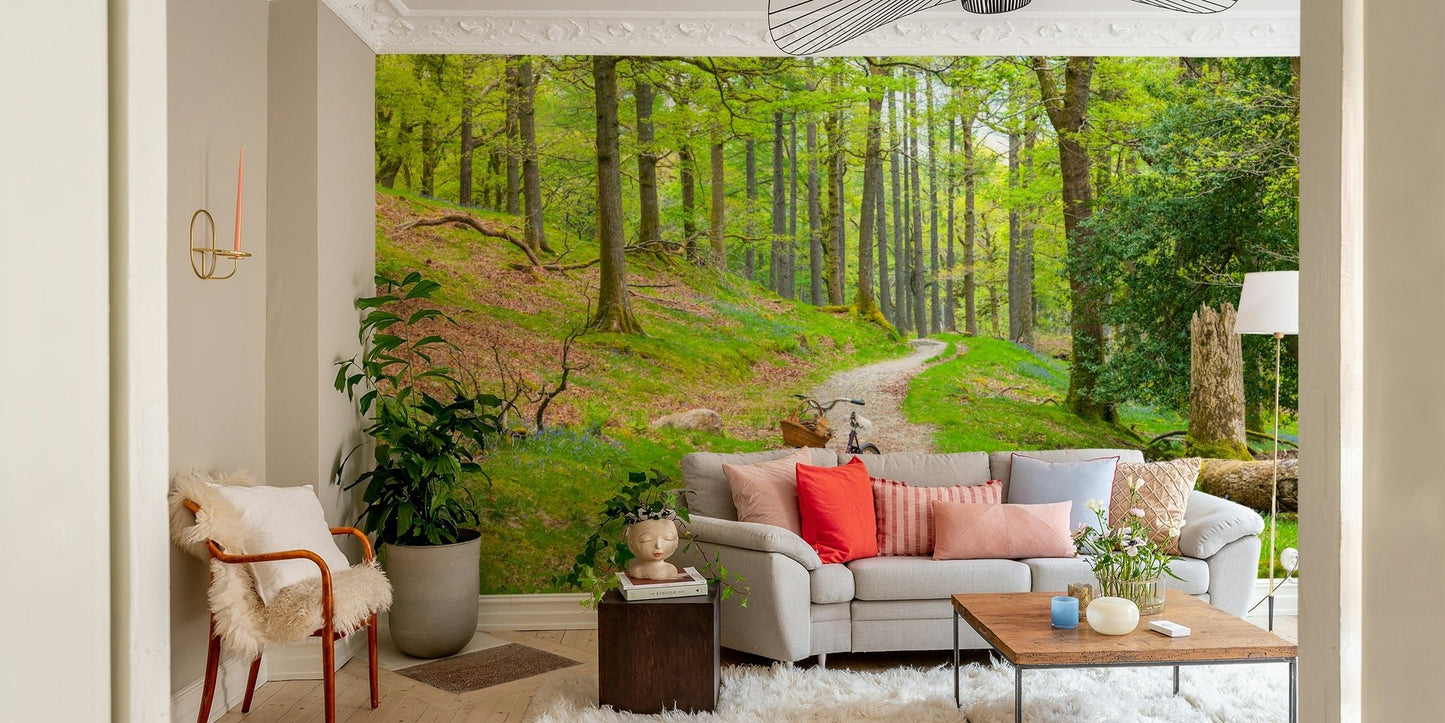 Woodland Cycle Path Wall Mural with a serene forest scene

