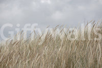 Elegant Woodland Grass mural, long stalks, sophisticated interior finish.