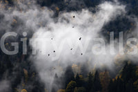 Moody autumn forest wallpaper, capture the Woodland Flock in Fog atmosphere.