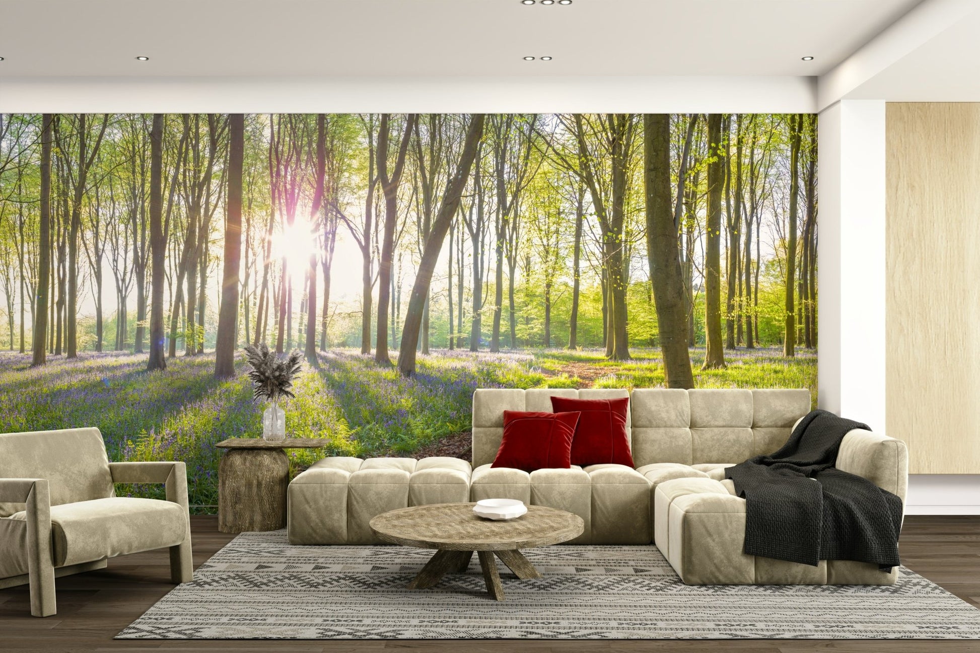 Serene forest scene.

