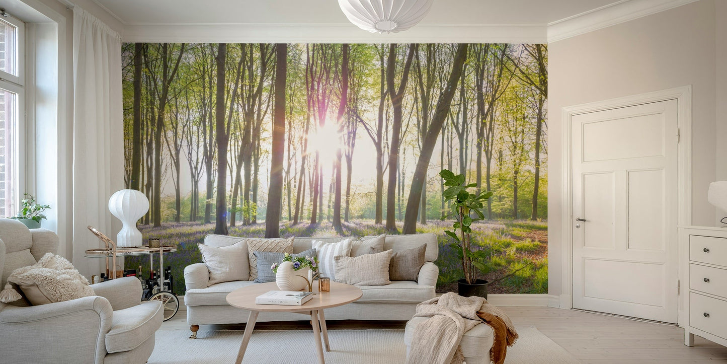 Sunbeams filtering through trees.

