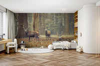 Serene woodland scene. GD3039

