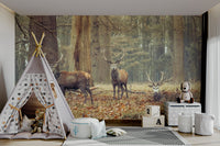 Majestic stags in a forest. GD3039
 
