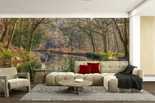 Tranquil forest scene with water.

