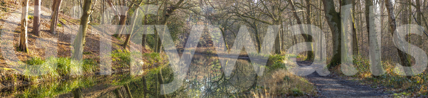 Wall decor evoking serenity and nature's calm.

