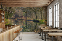 Focus on water reflections and natural forms.

