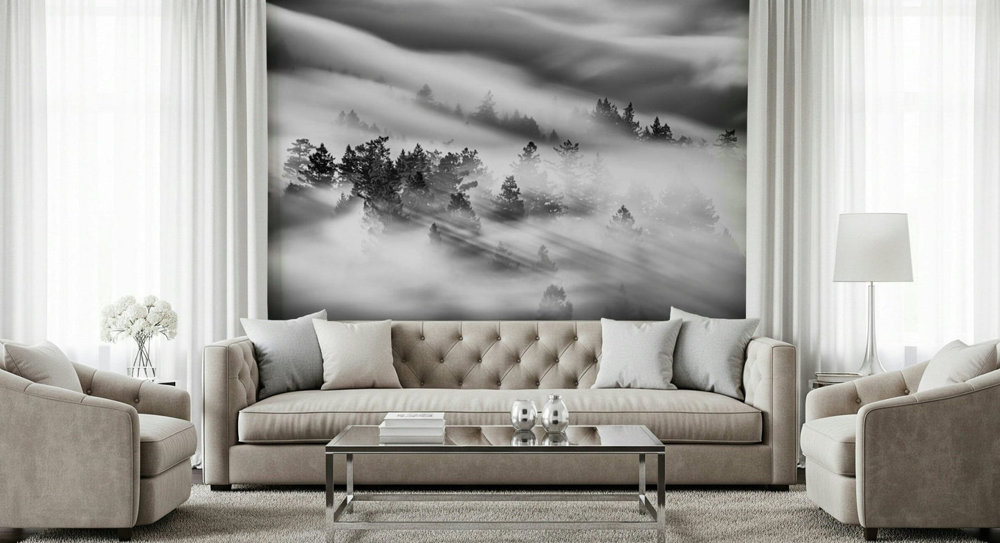 Atmospheric Velocity mural, misty valley scene, forest silhouette, striking wall accent., GD6942