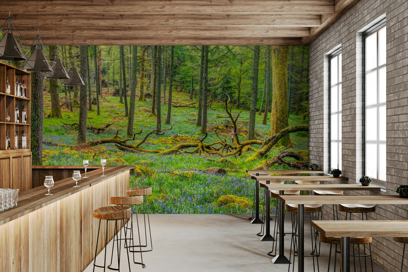 Forest scene on wallpaper.

