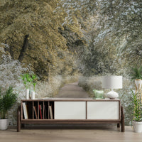 Springtime woodland path wallpaper design

