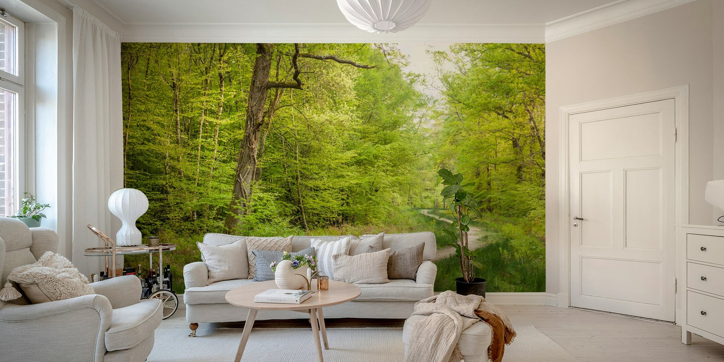 Peaceful woodland scene wall mural

