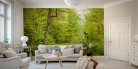 Peaceful woodland scene wall mural

