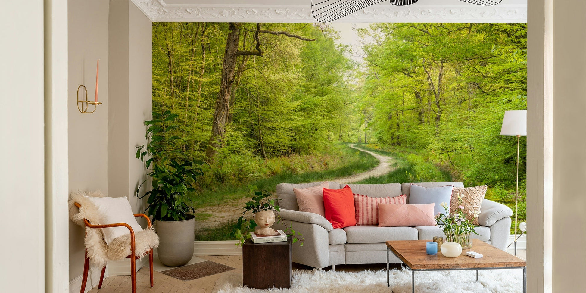 Nature wallpaper with woodland trail

