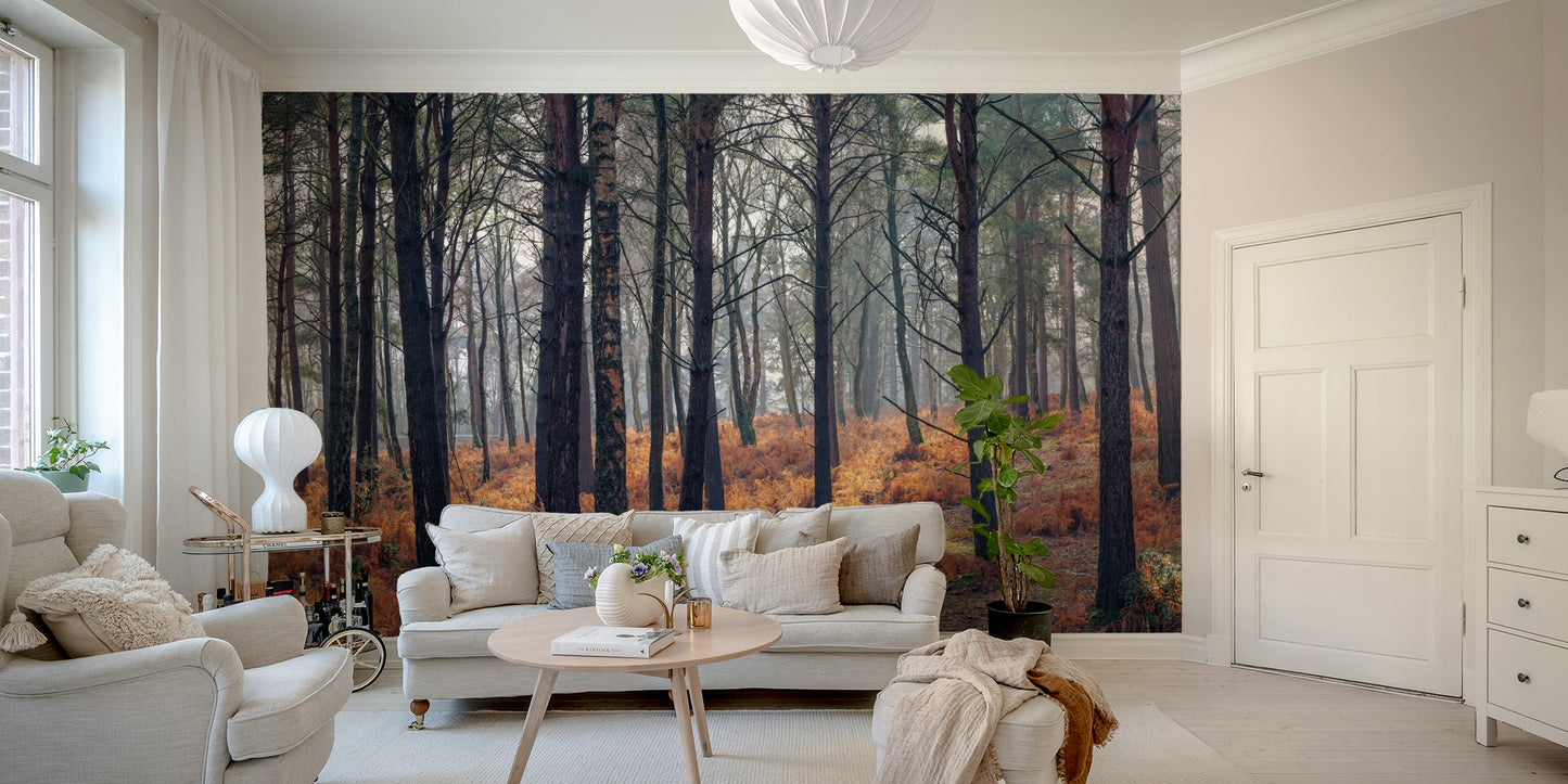 Woodland Whispers Wall Mural