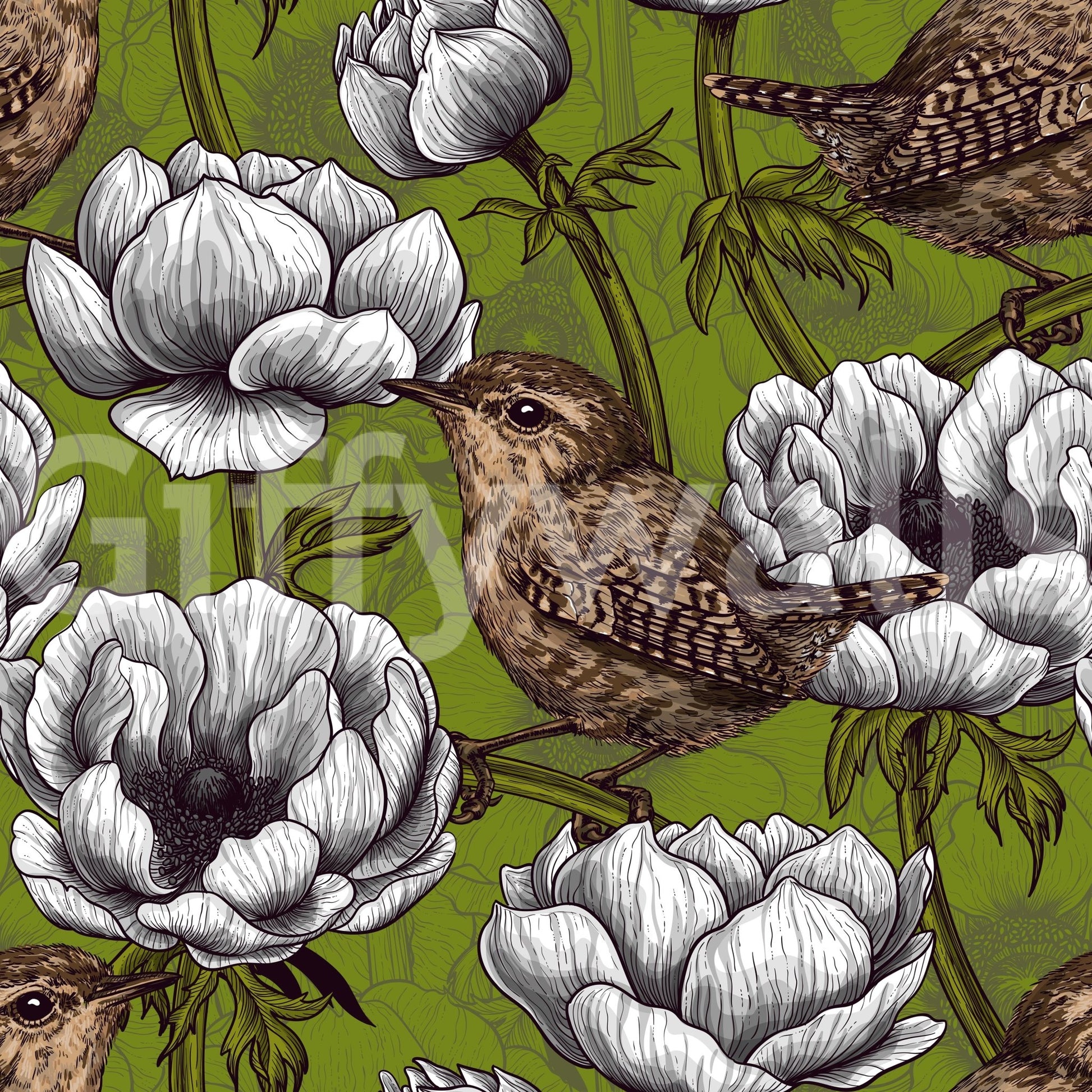 Decorative wallpaper with Wrens in the White Anemone and foliage