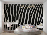 Natural variations of zebra's coat. GD3108


