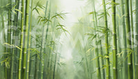 Serene green bamboo wallpaper for a calming nature-focused wall.