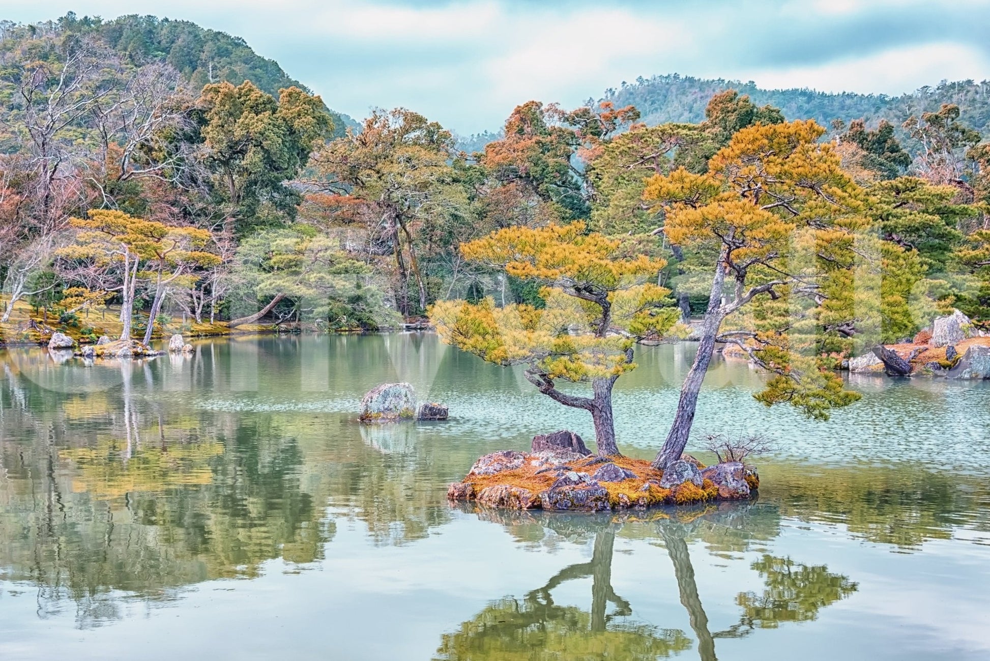 Zen Garden Serenity wall mural with still lake, island pines, and soft hillside view