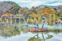 Zen Garden Serenity wall mural with still lake, island pines, and soft hillside view
